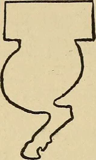An illustration from Things worth doing and how to do them, 1906, leaf 403
