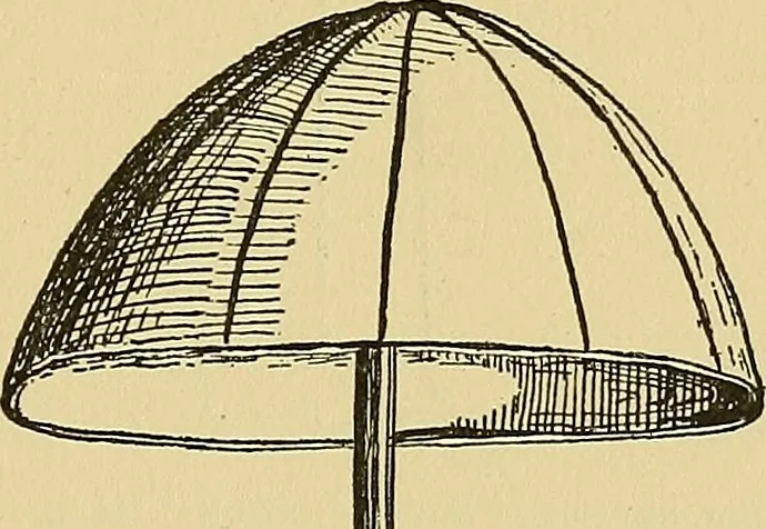 An illustration from Things worth doing and how to do them, 1906, leaf 404