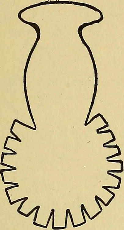 An illustration from Things worth doing and how to do them, 1906, leaf 406