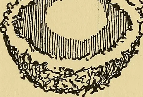 An illustration from Things worth doing and how to do them, 1906, leaf 408