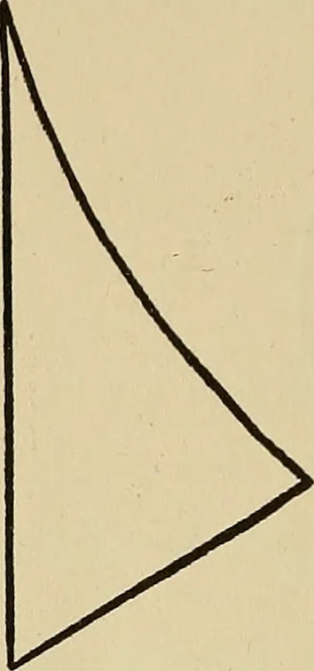 An illustration from Things worth doing and how to do them, 1906, leaf 409
