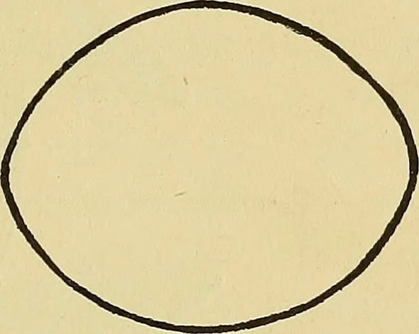 An illustration from Things worth doing and how to do them, 1906, leaf 410