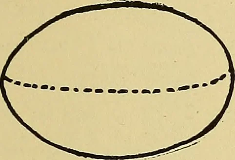 An illustration from Things worth doing and how to do them, 1906, leaf 418