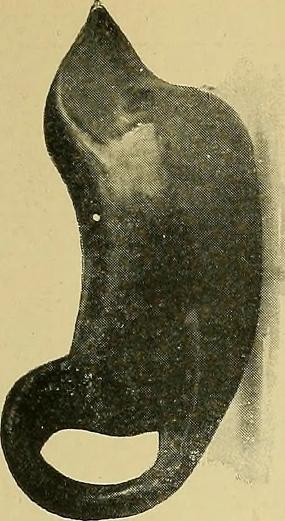 An illustration from Things worth doing and how to do them, 1906, leaf 426