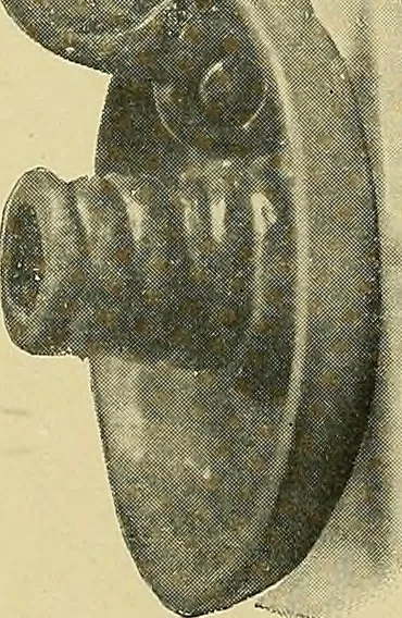 An illustration from Things worth doing and how to do them, 1906, leaf 426