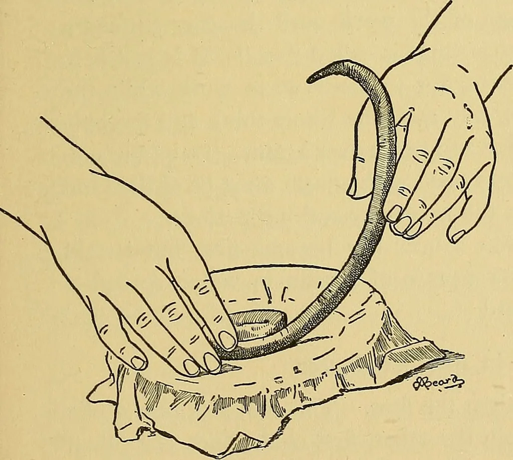 An illustration from Things worth doing and how to do them, 1906, leaf 428