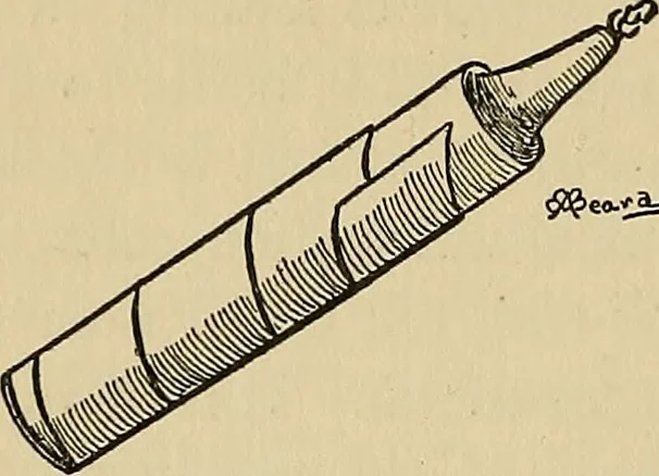 An illustration from Things worth doing and how to do them, 1906, leaf 431