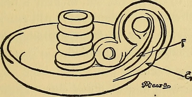 An illustration from Things worth doing and how to do them, 1906, leaf 432