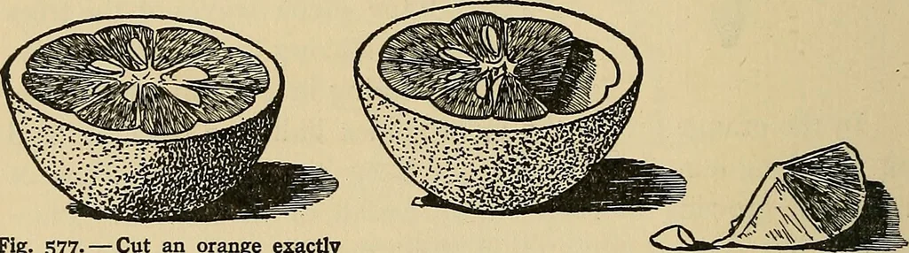 An illustration from Things worth doing and how to do them, 1906, leaf 439