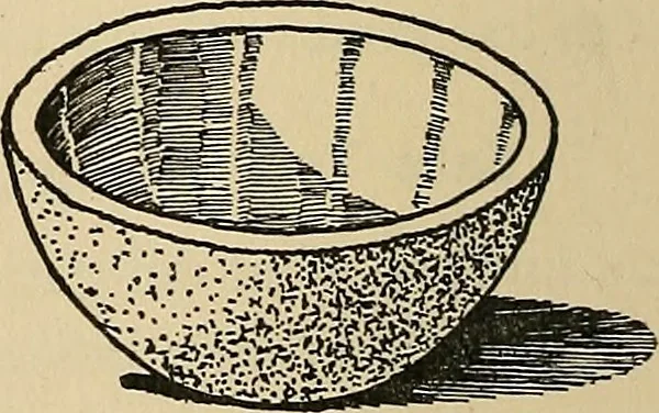An illustration from Things worth doing and how to do them, 1906, leaf 439