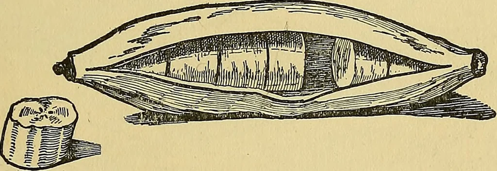 An illustration from Things worth doing and how to do them, 1906, leaf 440