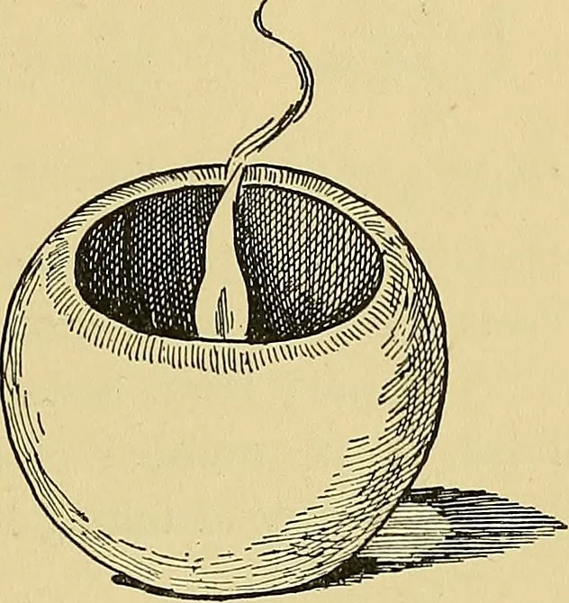 An illustration from Things worth doing and how to do them, 1906, leaf 442