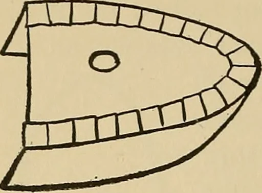 An illustration from Things worth doing and how to do them, 1906, leaf 451