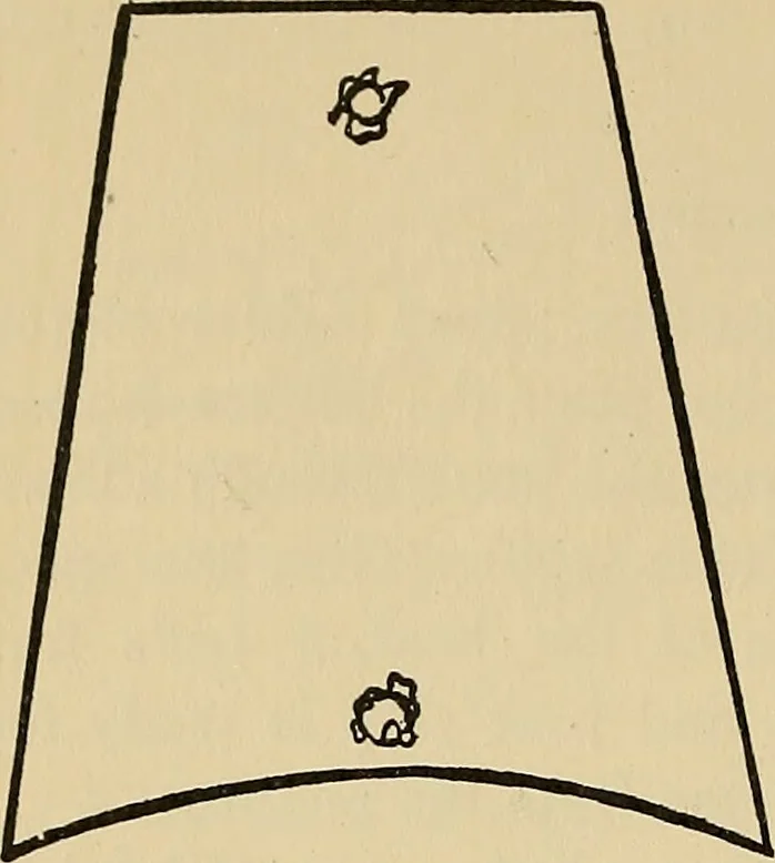 An illustration from Things worth doing and how to do them, 1906, leaf 453