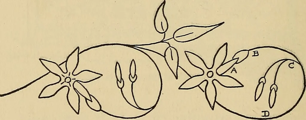 An illustration from Things worth doing and how to do them, 1906, leaf 471