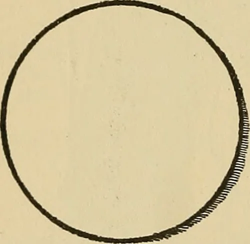 An illustration from Things worth doing and how to do them, 1906, leaf 65