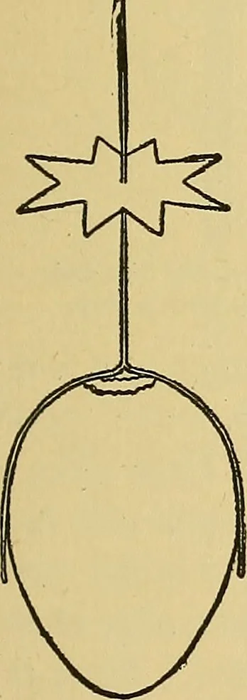 An illustration from Things worth doing and how to do them, 1906, leaf 66