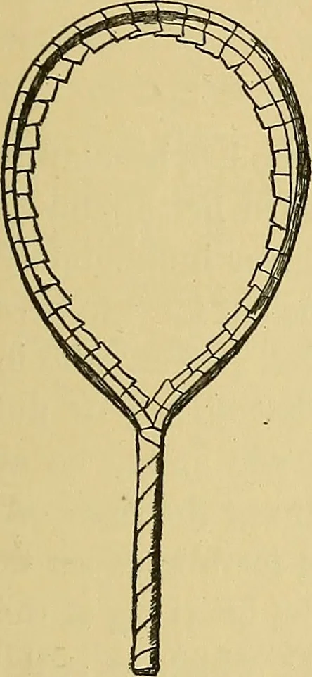 An illustration from Things worth doing and how to do them, 1906, leaf 68