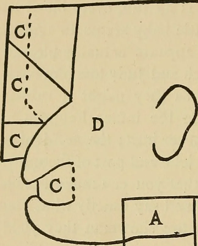 An illustration from Things worth doing and how to do them, 1906, leaf 75