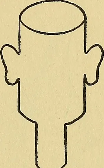 An illustration from Things worth doing and how to do them, 1906, leaf 78