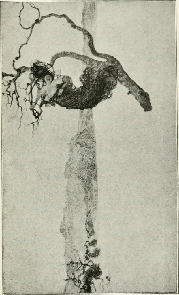 An illustration from The third annual exhibition held at the Carnegie Institute, November third, eighteen hundred and ninety-eight, till January first, eighteen hundred and ninety-nine, 1898, leaf 132