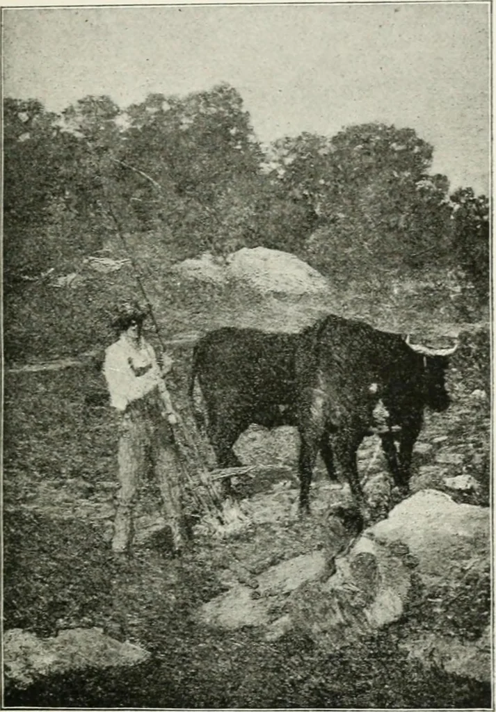 An illustration from The third annual exhibition held at the Carnegie Institute, November third, eighteen hundred and ninety-eight, till January first, eighteen hundred and ninety-nine, 1898, leaf 152