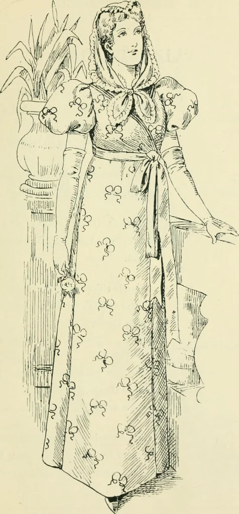 An illustration from Thirty original sketches for fancy costumes : specially drawn, from our suggestions, by R. L. Bööcke, 1894, leaf 50