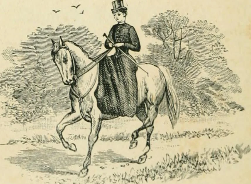 An illustration from Thirty original sketches for fancy costumes : specially drawn, from our suggestions, by R. L. Bööcke, 1894, leaf 81