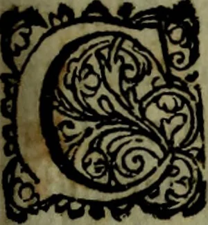 An illustration from Thomae Bartholini De armillis veterum schedion : accessit Olai Wormii De aureo cornu Danico ad Licetum responsio, 1676, leaf 148