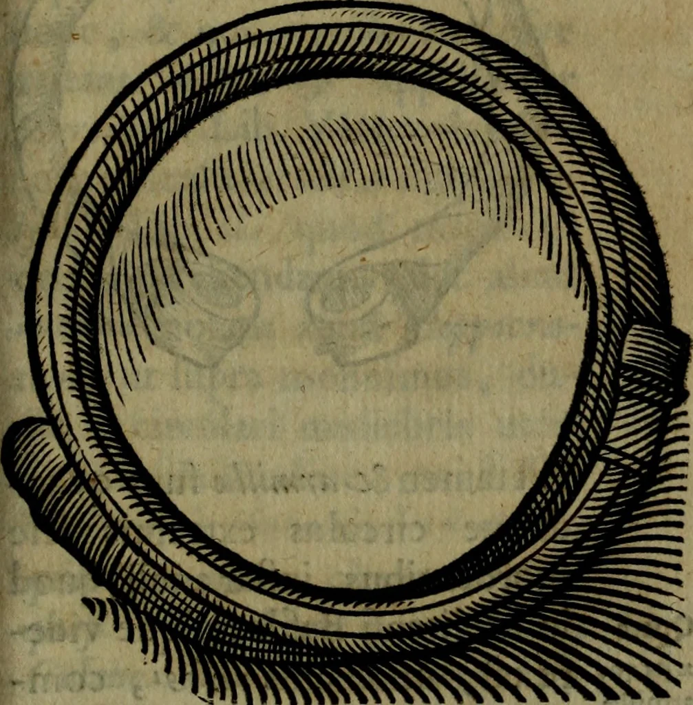 An illustration from Thomae Bartholini De armillis veterum schedion : accessit Olai Wormii De aureo cornu Danico ad Licetum responsio, 1676, leaf 60