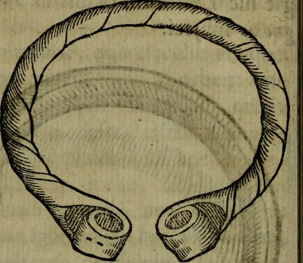 An illustration from Thomae Bartholini De armillis veterum schedion : accessit Olai Wormii De aureo cornu Danico ad Licetum responsio, 1676, leaf 61