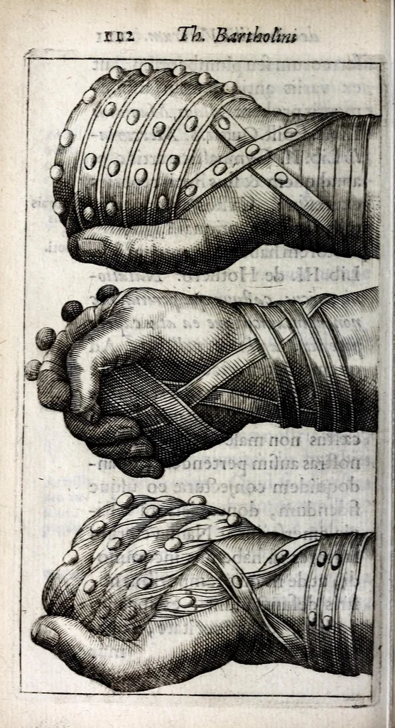 An illustration from Thomae Bartholini De armillis veterum schedion ; accessit Olai Wormii De aureo cornu Danico ad Licetum responsio, 1676, leaf 134