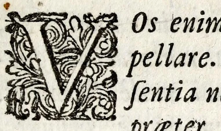 An illustration from Thomae Bartholini De armillis veterum schedion ; accessit Olai Wormii De aureo cornu Danico ad Licetum responsio, 1676, leaf 19