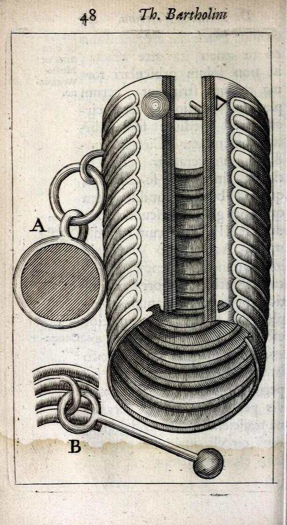 An illustration from Thomae Bartholini De armillis veterum schedion ; accessit Olai Wormii De aureo cornu Danico ad Licetum responsio, 1676, leaf 70