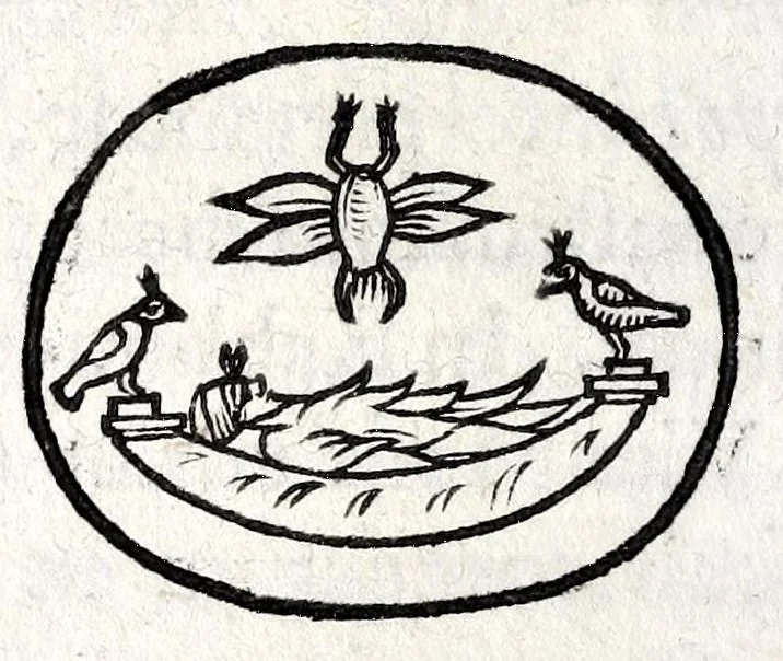 An illustration from Thomae Bartholini Antiquitatum veteris puerperii, 1676, leaf 96