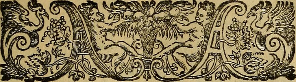 An illustration from Thomae Bartholini Archiatri Danici, Anatome quartum renovata : non tantum ex Institutionibus b.m. parentis, Caspari Bartholini, sed etiam ex omnium cùm veterum, tum recentiorum observationibus, ad circulationem Harveianam, & vasa lymphatica directis : cum iconibus novis et indicibus, 1684, leaf 10