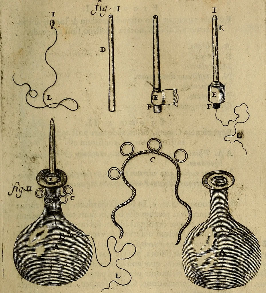 An illustration from Thomae Bartholini Archiatri Danici, Anatome quartum renovata : non tantum ex Institutionibus b.m. parentis, Caspari Bartholini, sed etiam ex omnium cùm veterum, tum recentiorum observationibus, ad circulationem Harveianam, & vasa lymphatica directis : cum iconibus novis et indicibus, 1684, leaf 160