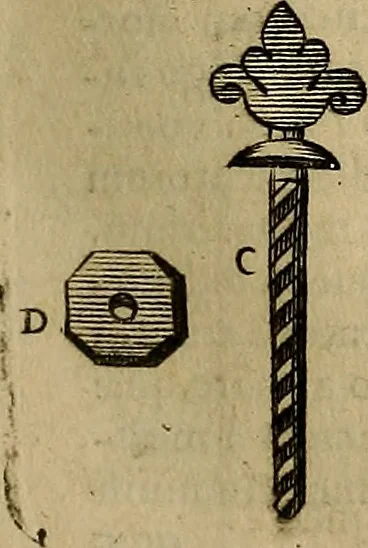 An illustration from Thomae Bartholini Archiatri Danici, Anatome quartum renovata : non tantum ex Institutionibus b.m. parentis, Caspari Bartholini, sed etiam ex omnium cùm veterum, tum recentiorum observationibus, ad circulationem Harveianam, & vasa lymphatica directis : cum iconibus novis et indicibus, 1684, leaf 160