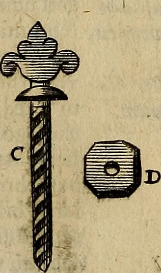 An illustration from Thomae Bartholini Archiatri Danici, Anatome quartum renovata : non tantum ex Institutionibus b.m. parentis, Caspari Bartholini, sed etiam ex omnium cùm veterum, tum recentiorum observationibus, ad circulationem Harveianam, & vasa lymphatica directis : cum iconibus novis et indicibus, 1684, leaf 160