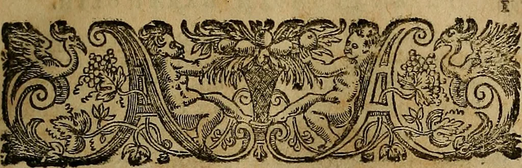 An illustration from Thomae Bartholini Archiatri Danici, Anatome quartum renovata : non tantum ex Institutionibus b.m. parentis, Caspari Bartholini, sed etiam ex omnium cùm veterum, tum recentiorum observationibus, ad circulationem Harveianam, & vasa lymphatica directis : cum iconibus novis et indicibus, 1684, leaf 38