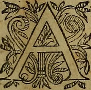 An illustration from Thomae Bartholini Archiatri Danici, Anatome quartum renovata : non tantum ex Institutionibus b.m. parentis, Caspari Bartholini, sed etiam ex omnium cùm veterum, tum recentiorum observationibus, ad circulationem Harveianam, & vasa lymphatica directis : cum iconibus novis et indicibus, 1684, leaf 38