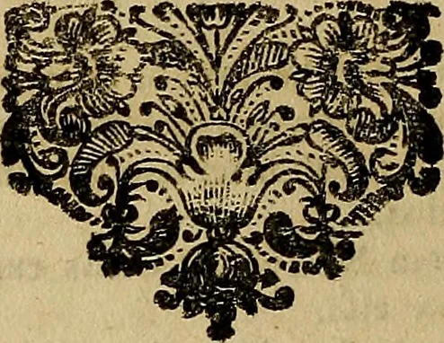 An illustration from Thomae Bartholini Archiatri Danici, Anatome quartum renovata : non tantum ex Institutionibus b.m. parentis, Caspari Bartholini, sed etiam ex omnium cùm veterum, tum recentiorum observationibus, ad circulationem Harveianam, & vasa lymphatica directis : cum iconibus novis et indicibus, 1684, leaf 749