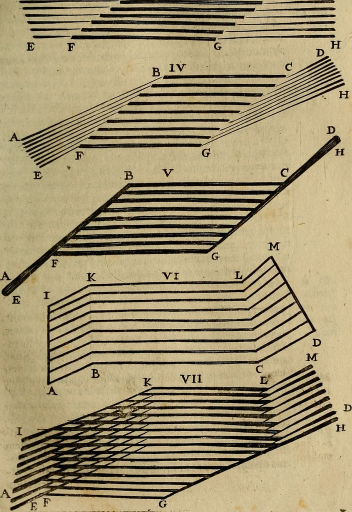 An illustration from Thomae Bartholini Archiatri Danici, Anatome quartum renovata : non tantum ex Institutionibus b.m. parentis, Caspari Bartholini, sed etiam ex omnium cùm veterum, tum recentiorum observationibus, ad circulationem Harveianam, & vasa lymphatica directis : cum iconibus novis et indicibus, 1684, leaf 80