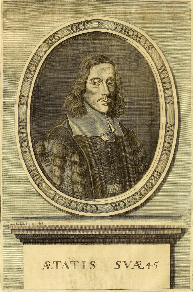 An illustration from Thomae Willis ... Opera omnia, nitidius quàm vnquam hactenus edita, plurimùm emendata, indice rerum copiosissimo, ac distinctione characterum exornata, 1694, leaf 11