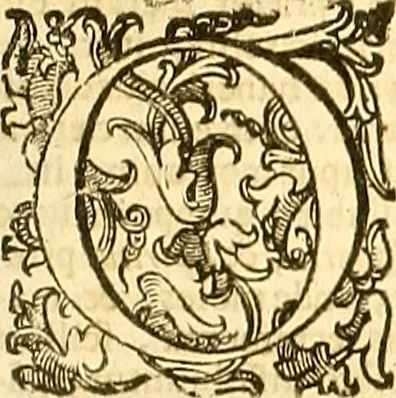 An illustration from Thomae Willis ... Opera omnia, nitidius quàm vnquam hactenus edita, plurimùm emendata, indice rerum copiosissimo, ac distinctione characterum exornata, 1694, leaf 110