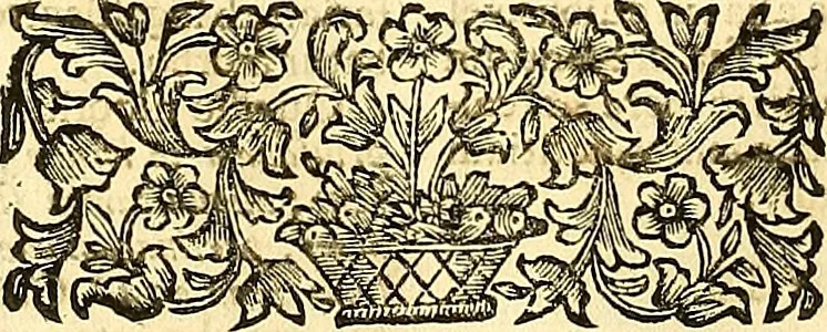 An illustration from Thomae Willis ... Opera omnia, nitidius quàm vnquam hactenus edita, plurimùm emendata, indice rerum copiosissimo, ac distinctione characterum exornata, 1694, leaf 121