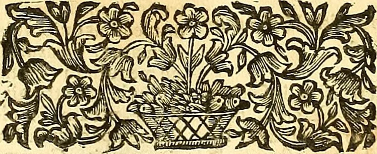 An illustration from Thomae Willis ... Opera omnia, nitidius quàm vnquam hactenus edita, plurimùm emendata, indice rerum copiosissimo, ac distinctione characterum exornata, 1694, leaf 131
