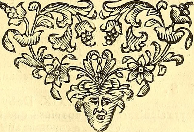 An illustration from Thomae Willis ... Opera omnia, nitidius quàm vnquam hactenus edita, plurimùm emendata, indice rerum copiosissimo, ac distinctione characterum exornata, 1694, leaf 14
