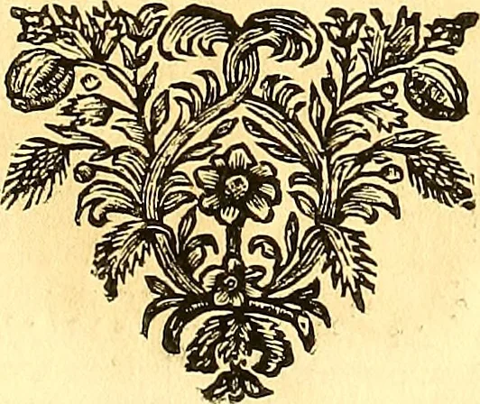 An illustration from Thomae Willis ... Opera omnia, nitidius quàm vnquam hactenus edita, plurimùm emendata, indice rerum copiosissimo, ac distinctione characterum exornata, 1694, leaf 18