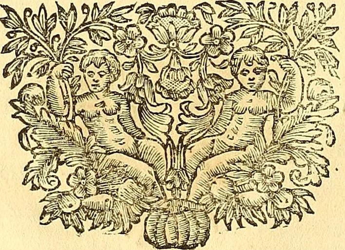 An illustration from Thomae Willis ... Opera omnia, nitidius quàm vnquam hactenus edita, plurimùm emendata, indice rerum copiosissimo, ac distinctione characterum exornata, 1694, leaf 19